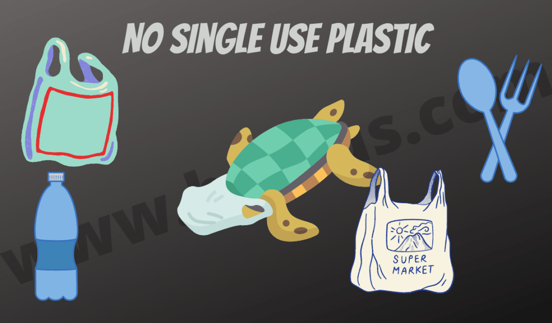 Single-Use Plastic Ban