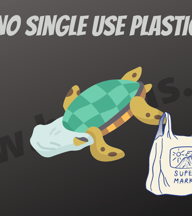 Single-Use Plastic Ban
