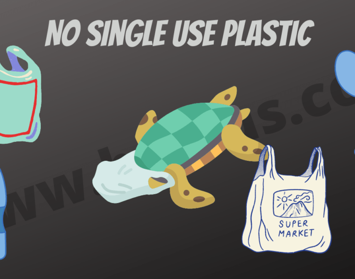 Single-Use Plastic Ban