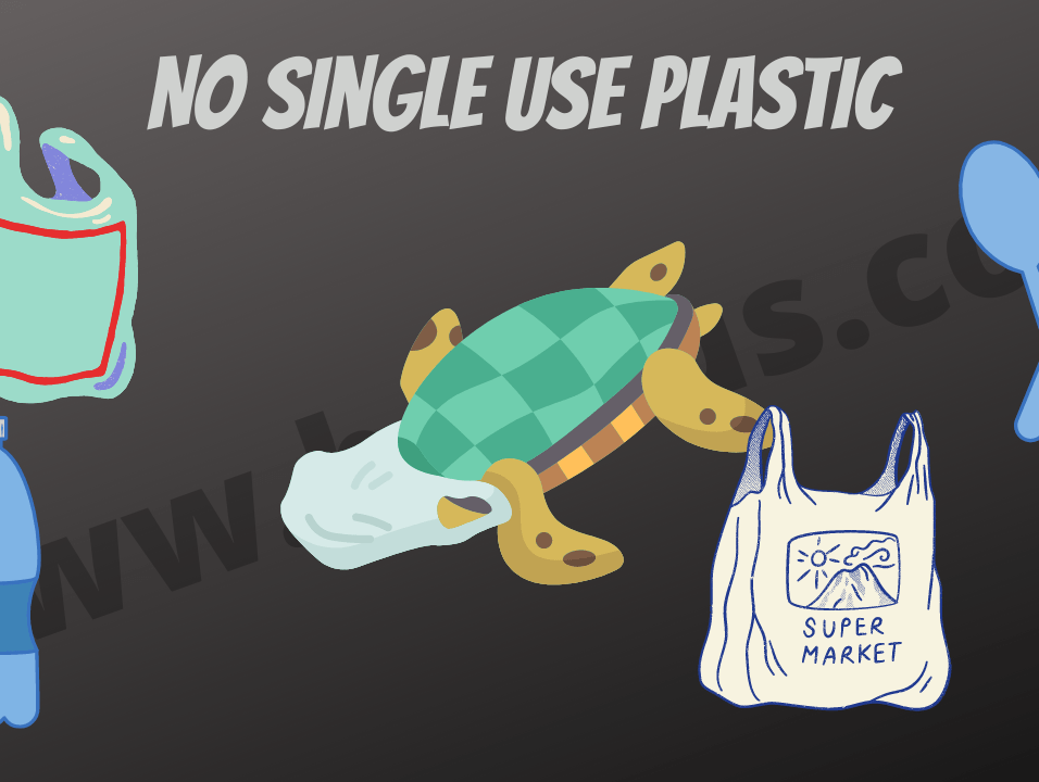 Single-Use Plastic Ban