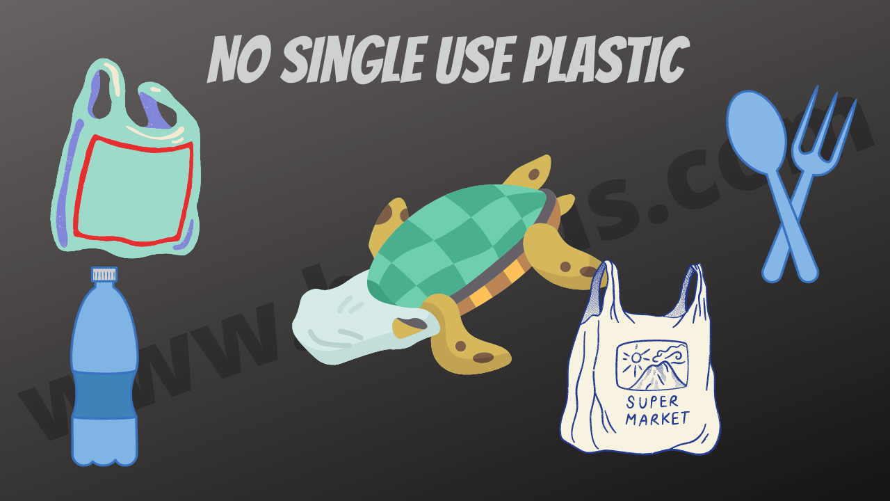 Single-Use Plastic Ban