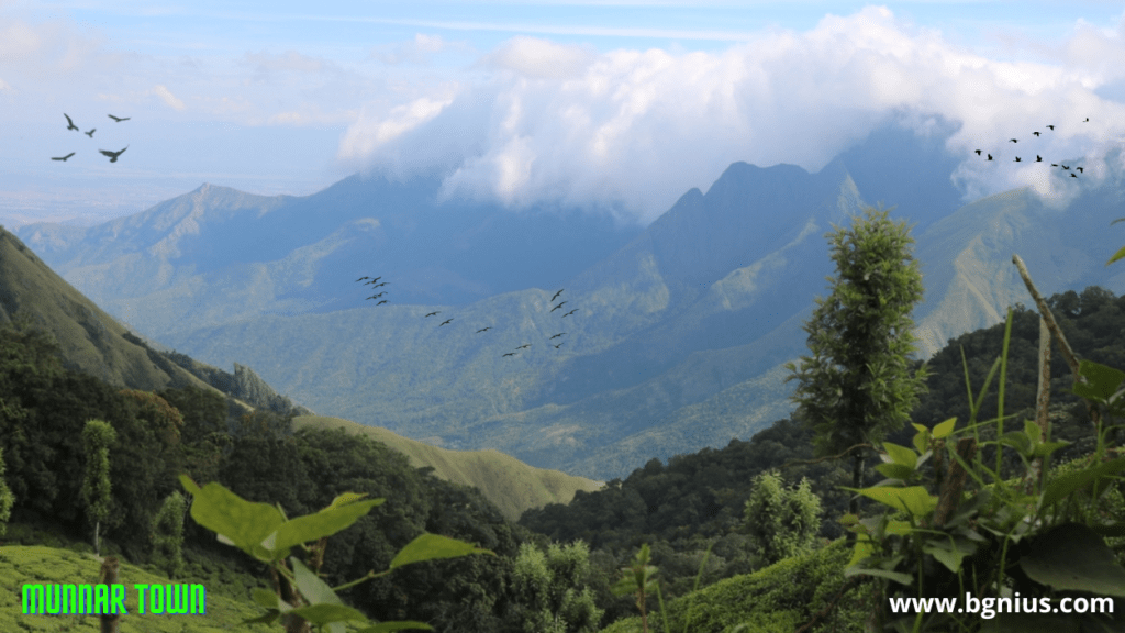 Munnar town